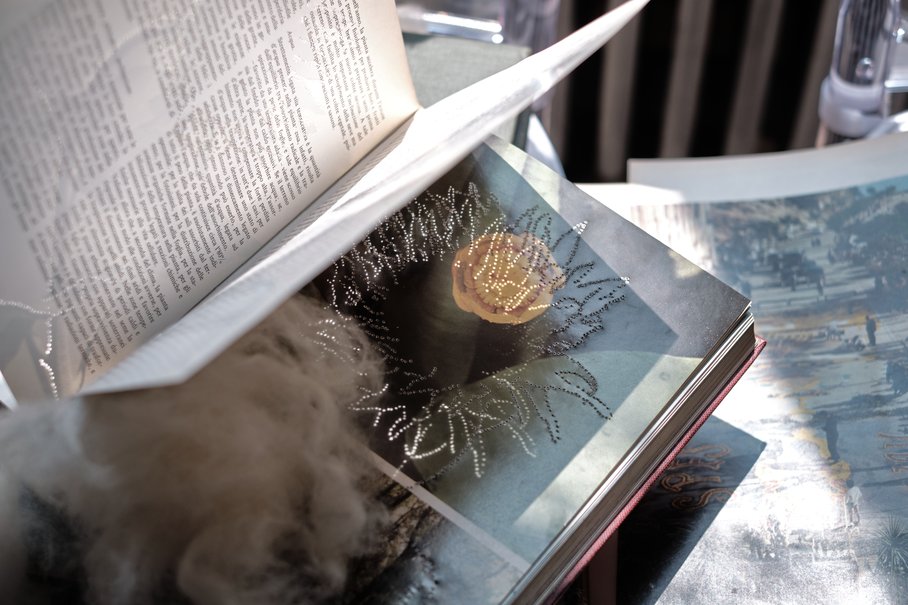 Coltivazioni erbacee